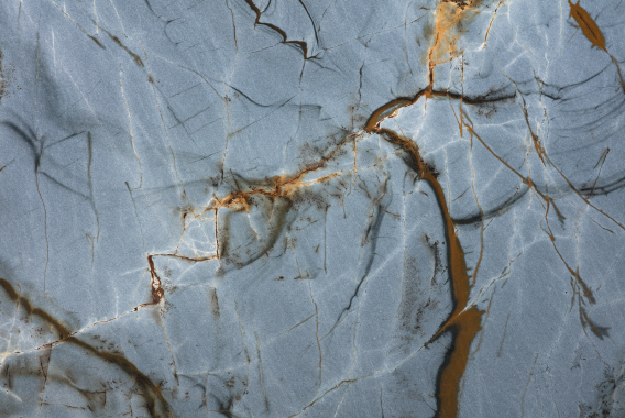 Blue Roma