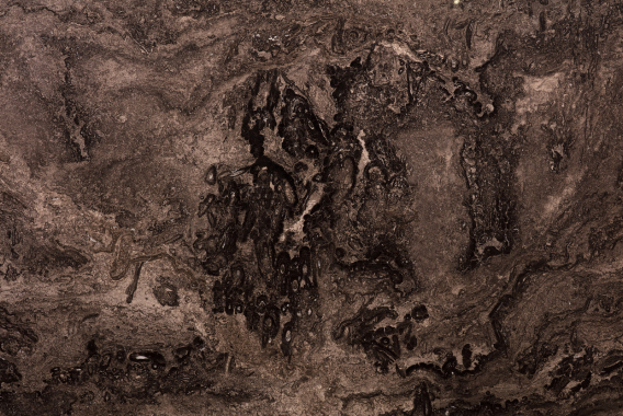 Brown Sea